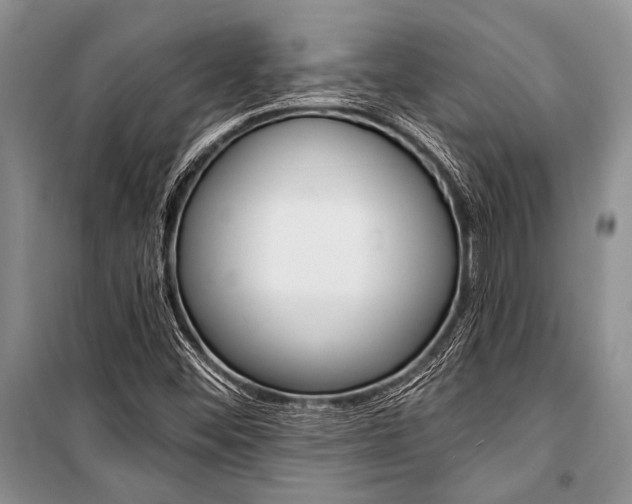X0000101111452200806261057