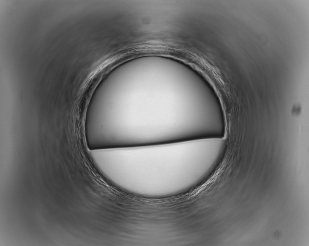 X0000101111453200806261057