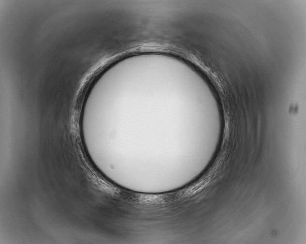X0000101111454200806261057