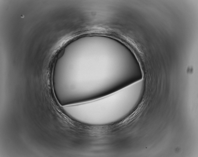 X0000101111455200806261057
