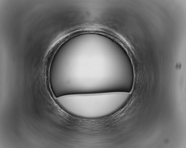 X0000101111456200806261057