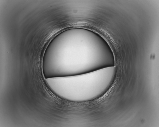 X0000101111457200806261057