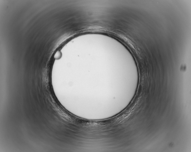 X0000101111458200806261057