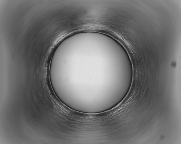 X0000101111459200806261057
