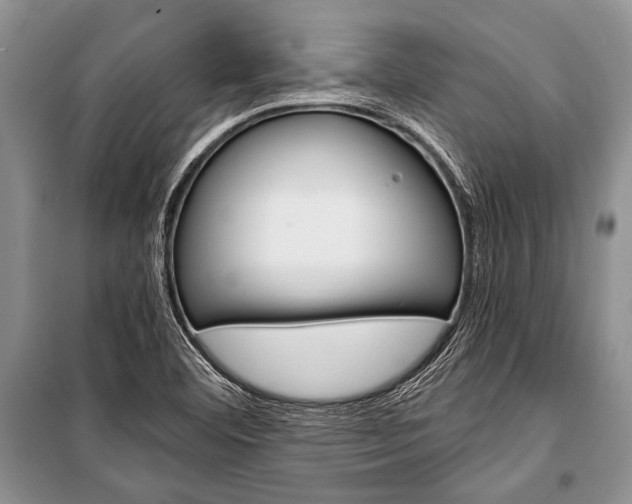 X0000101111460200806261057
