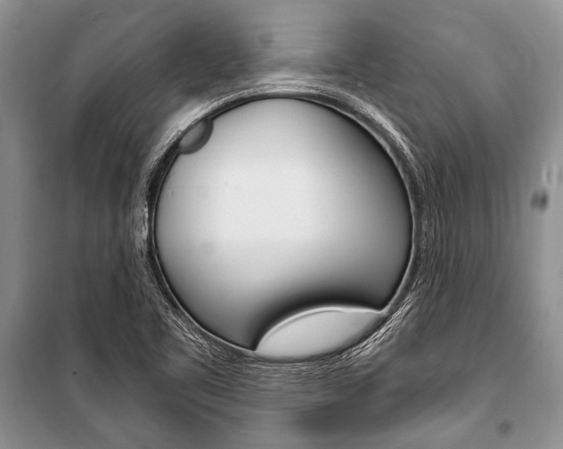 X0000101111461200806261057
