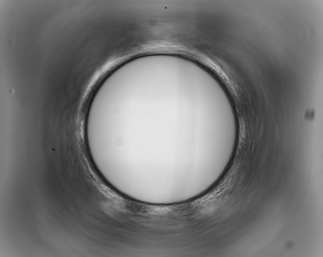 X0000101111462200806261057