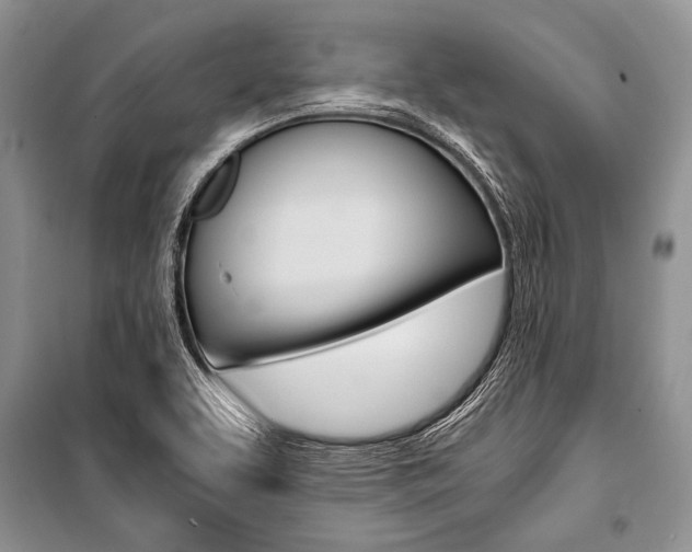 X0000101111463200806261057