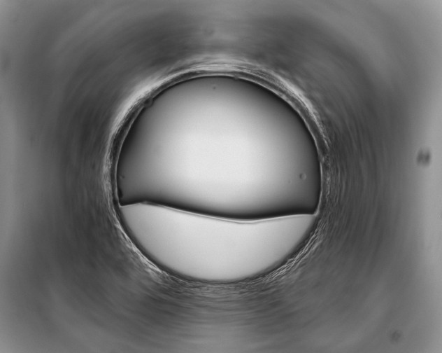 X0000101111464200806261057
