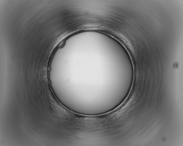 X0000101111465200806261057