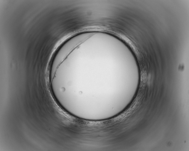 X0000101111466200806261057
