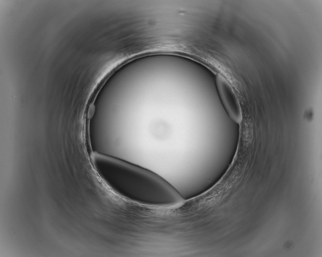 X0000101111468200806261057