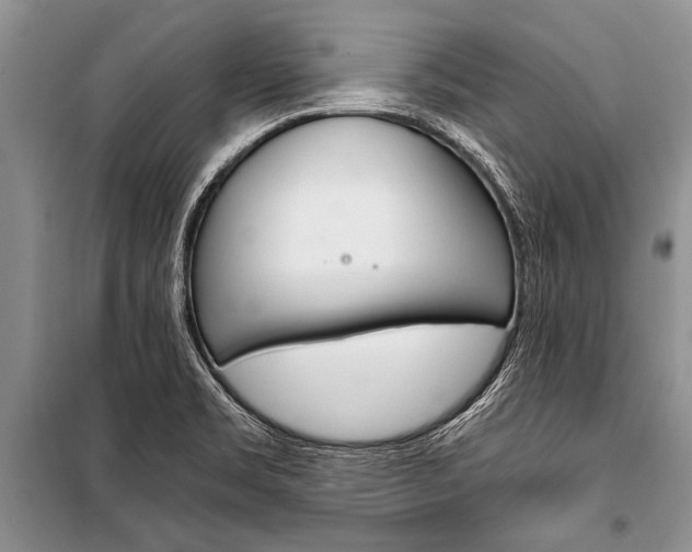 X0000101111469200806261057