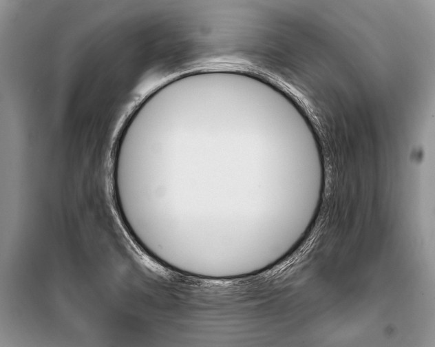 X0000101111470200806261057
