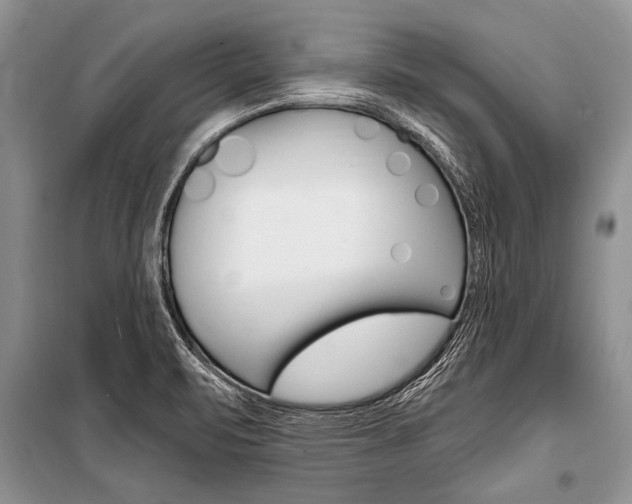 X0000101111471200806261057