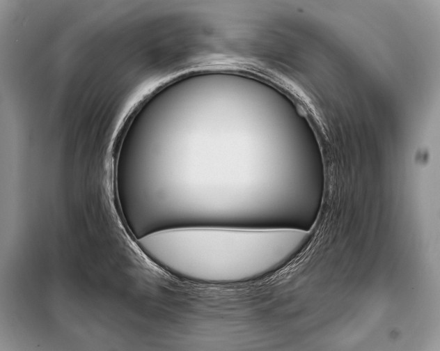 X0000101111472200806261057