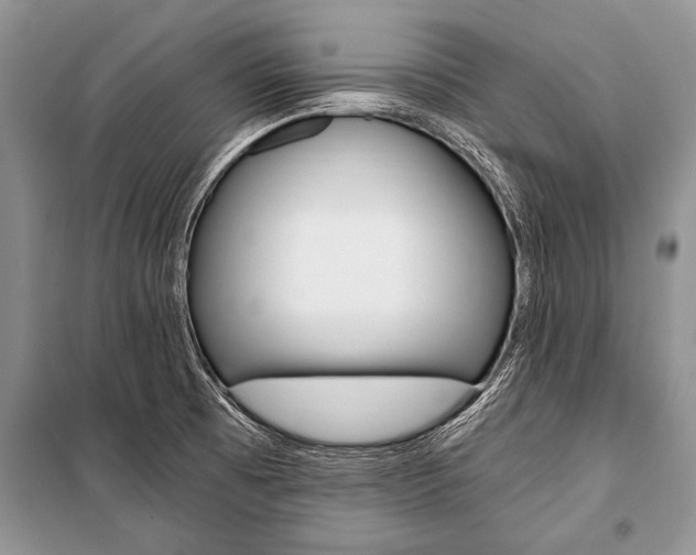 X0000101111473200806261057