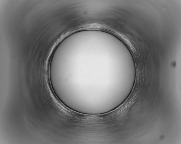X0000101111475200806261057