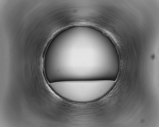 X0000101111476200806261057