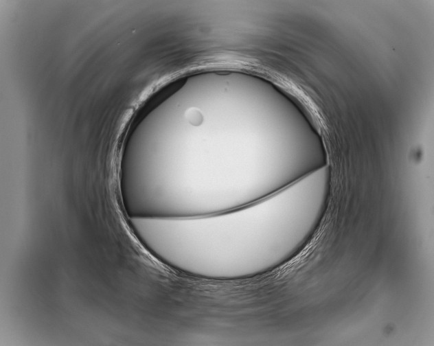 X0000101111477200806261057