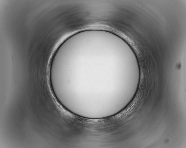 X0000101111478200806261057