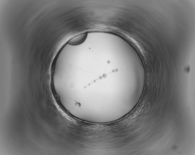 X0000101111479200806261057
