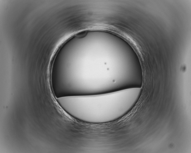 X0000101111480200806261057