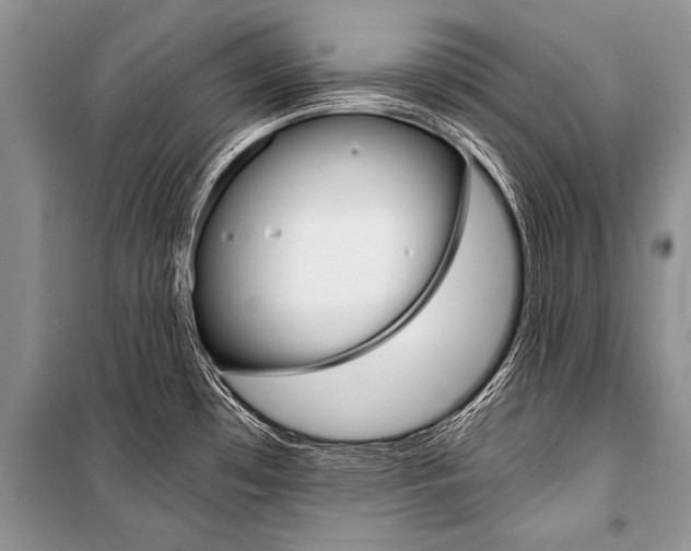X0000101111481200806261057