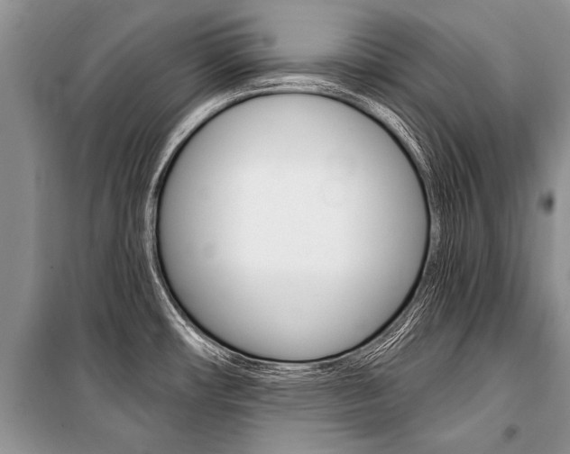 X0000101111482200806261057