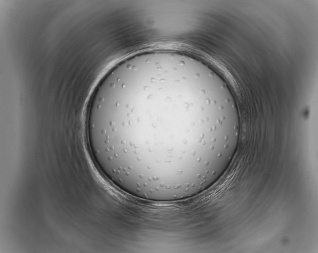 X0000101111483200806261057