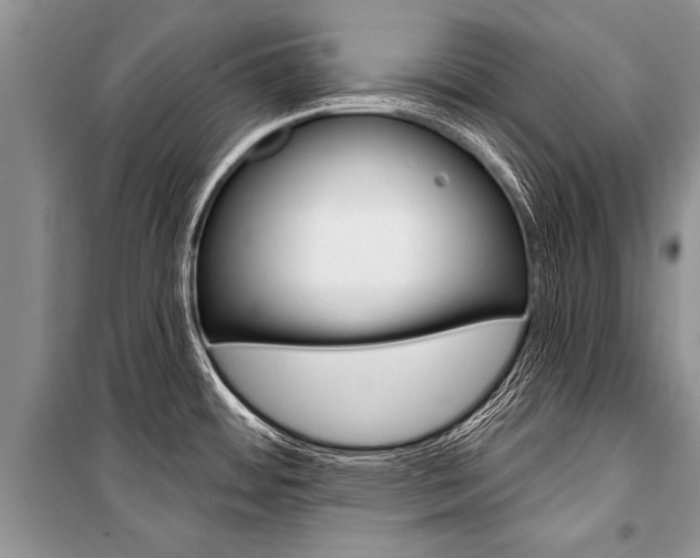 X0000101111484200806261057