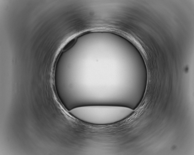 X0000101111485200806261057
