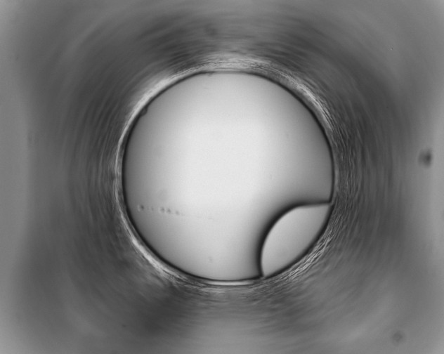 X0000101111487200806261057