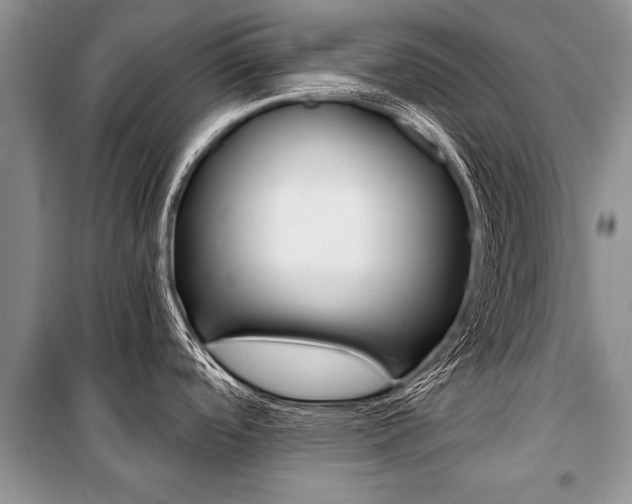 X0000101111488200806261056