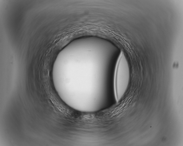 X0000101111489200806261056