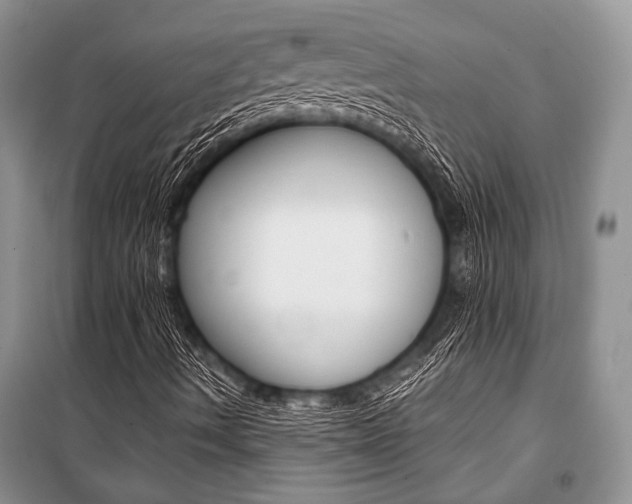 X0000101111490200806261056