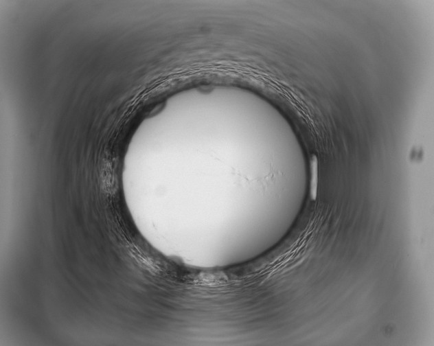 X0000101111491200806261056