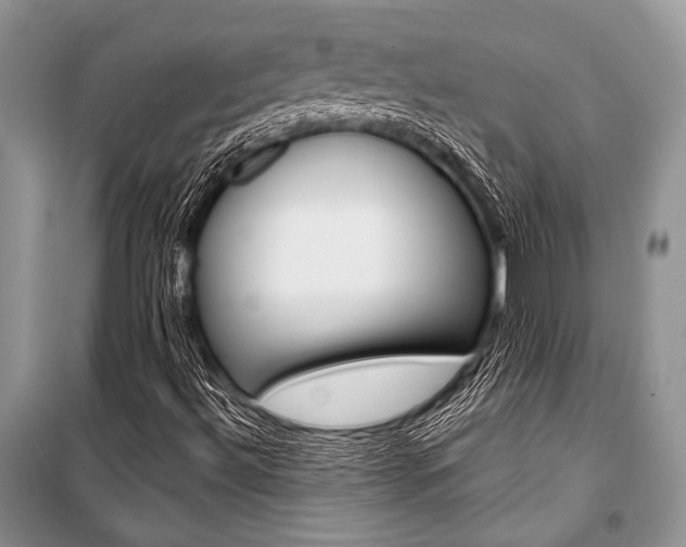 X0000101111492200806261056