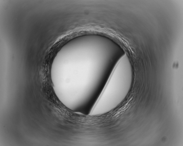 X0000101111494200806261056