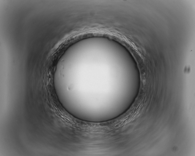 X0000101111495200806261056