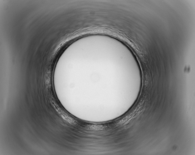 X0000101111499200806261056