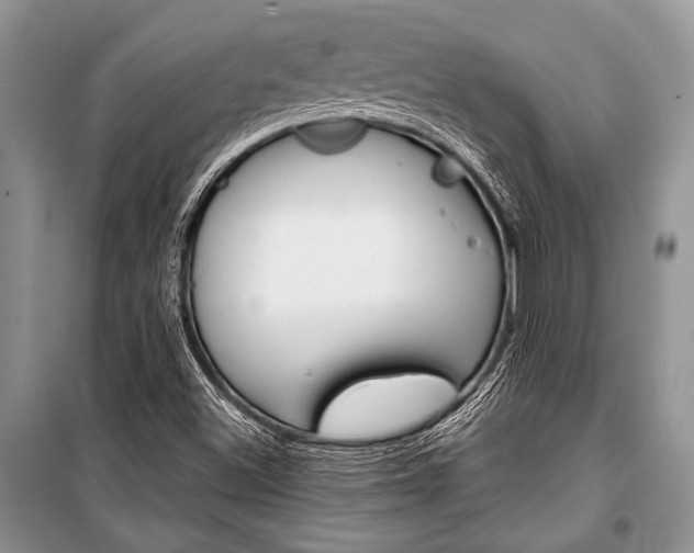 X0000101111500200806261056