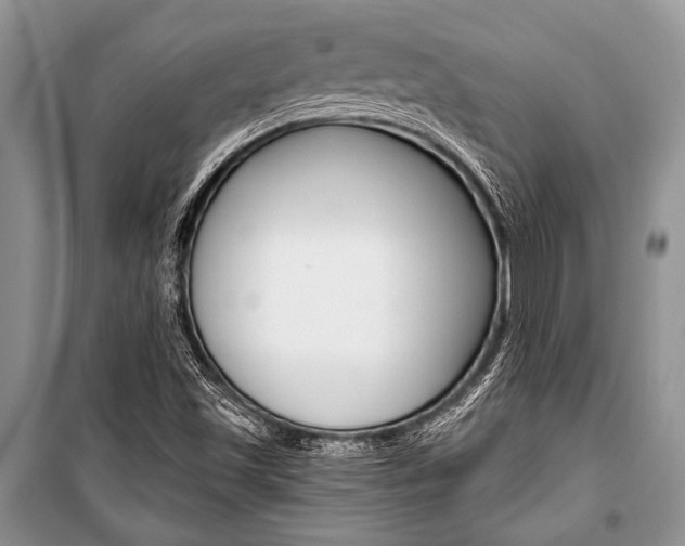 X0000101111501200806261056