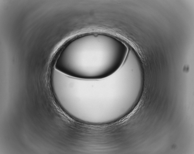 X0000101111502200806261056