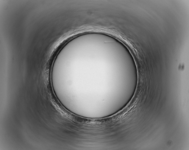 X0000101111503200806261056
