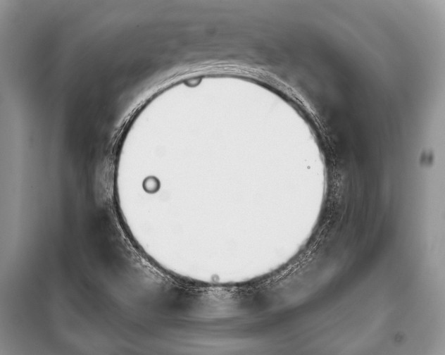 X0000101111504200806261056