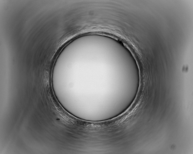 X0000101111505200806261056