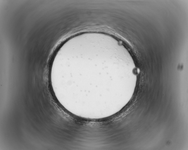 X0000101111506200806261056
