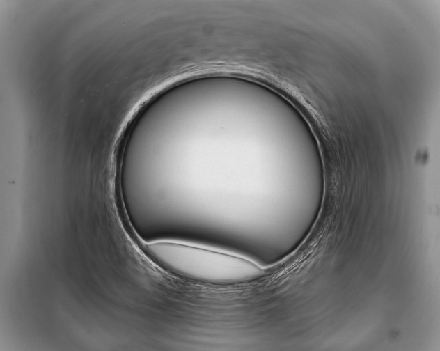 X0000101111508200806261056