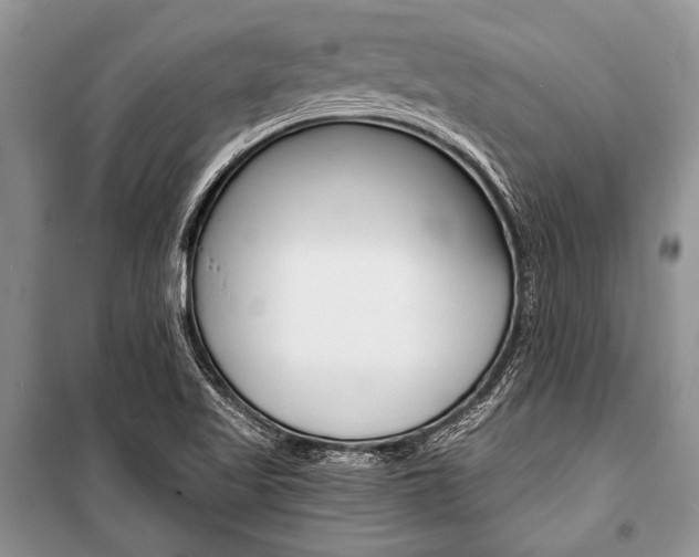 X0000101111509200806261056